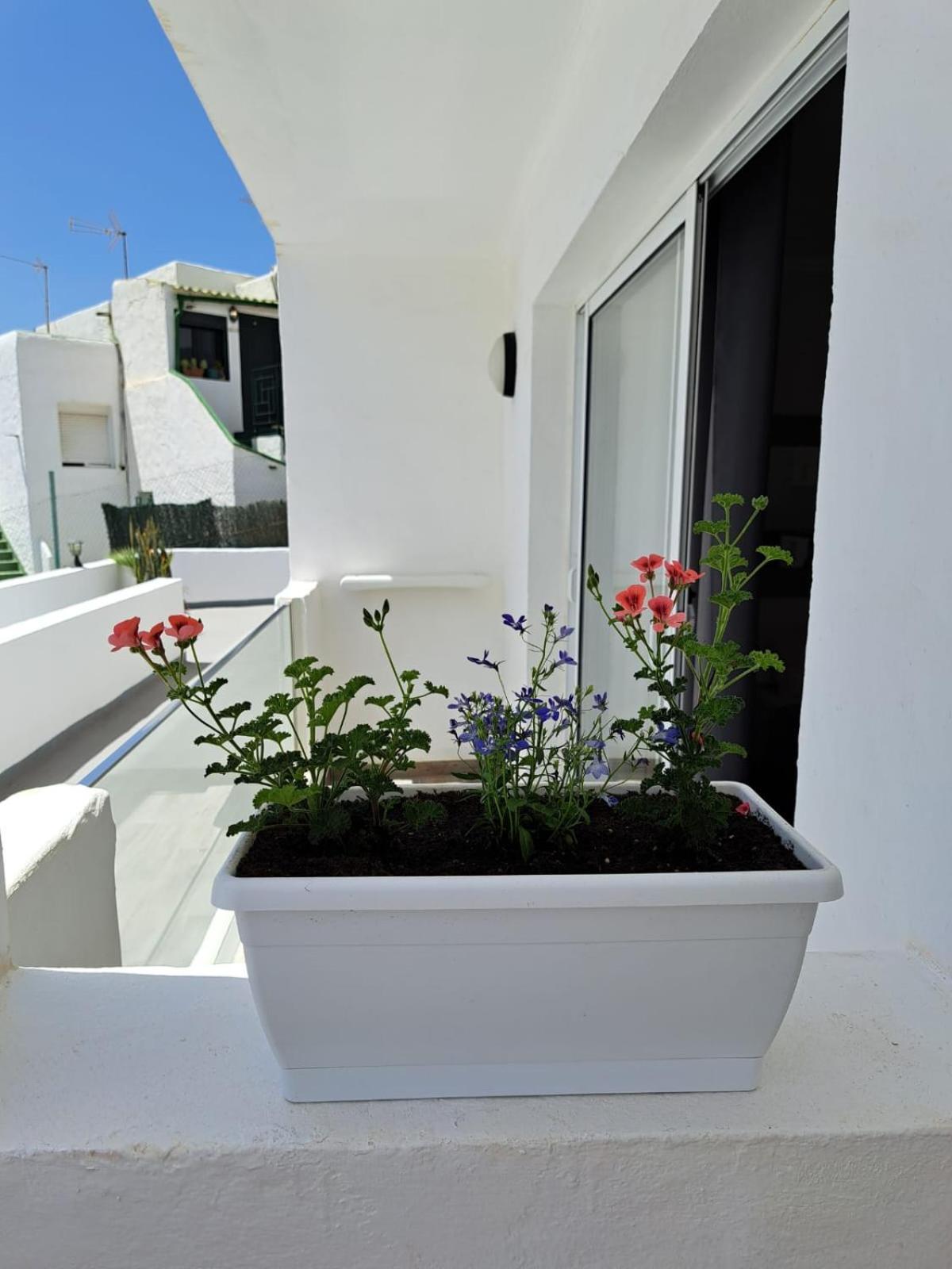 Casa Esterlita Tarajalejo Eksteriør billede
